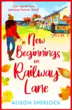 New Beginnings on Railway Lane synopsis, comments