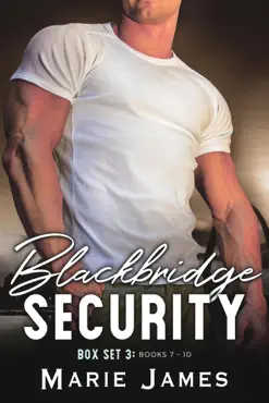 blackbridge security box set 3 book cover image