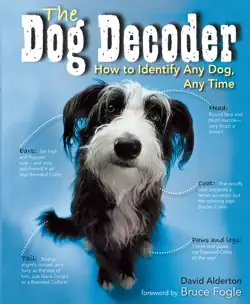 the dog decoder book cover image