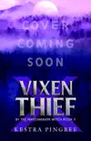 Vixen x Thief synopsis, comments