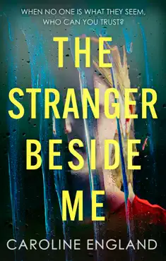 the stranger beside me book cover image