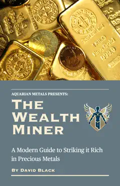 the wealth miner book cover image