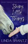 Shiny Little Things synopsis, comments