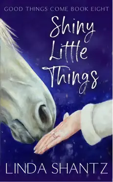 shiny little things book cover image