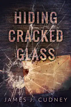hiding cracked glass book cover image