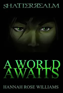 a world awaits book cover image