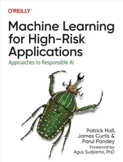 machine learning for high-risk applications book cover image