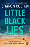 Little Black Lies sinopsis y comentarios