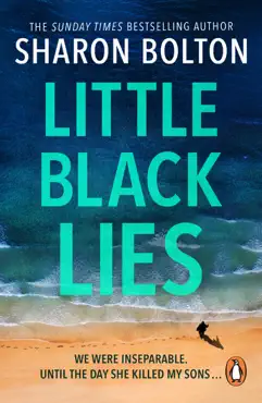 little black lies imagen de la portada del libro