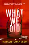 What We Did synopsis, comments