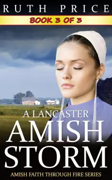 a lancaster amish storm - book 3 book cover image