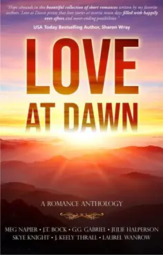 love at dawn book cover image