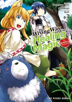 the wrong way to use healing magic volume 3 book cover image