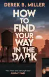 How to Find Your Way in the Dark sinopsis y comentarios