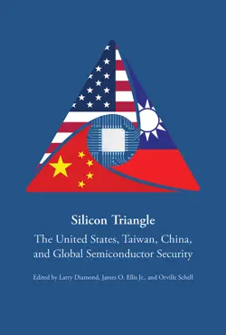 silicon triangle book cover image