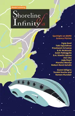 shoreline of infinity 18 book cover image