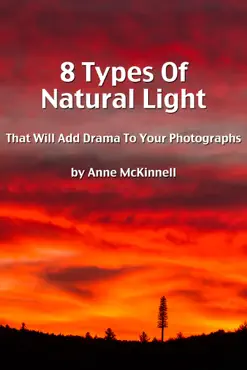 8 types of natural light that will add drama to your photographs book cover image