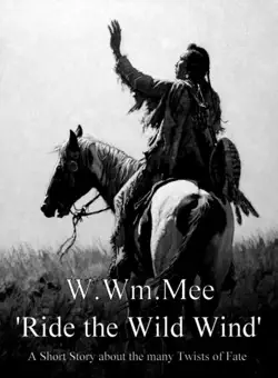 ride the wild wind book cover image