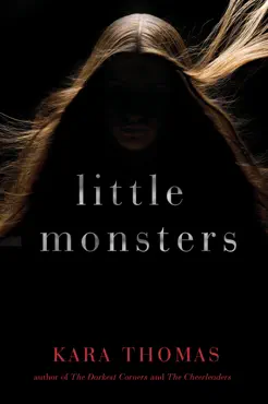 little monsters book cover image