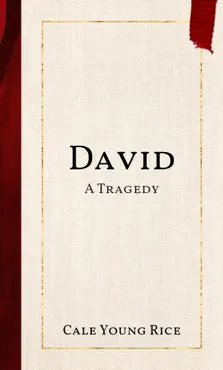 david book cover image