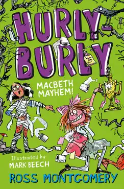 hurly burly book cover image