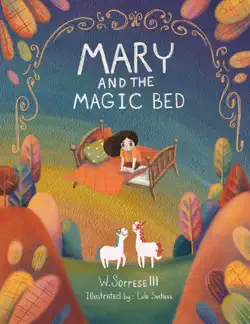 mary and the magic bed book cover image