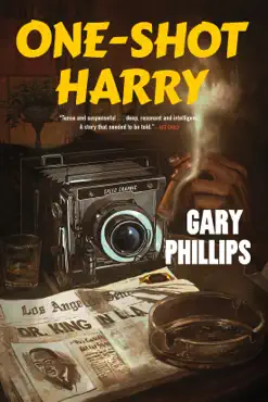 one-shot harry book cover image