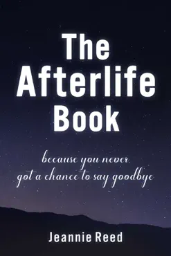 the afterlife book book cover image