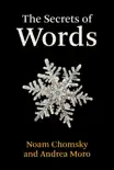 The Secrets of Words e-book