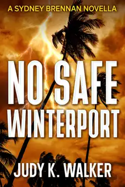 no safe winterport book cover image