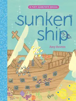 sunken ship book cover image