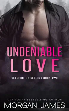 undeniable love book cover image