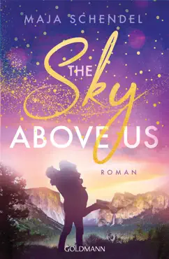 the sky above us book cover image