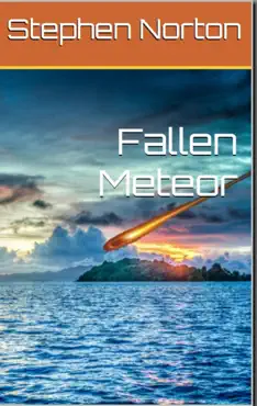 fallen meteor book cover image