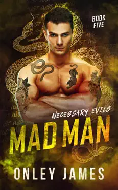 mad man book cover image
