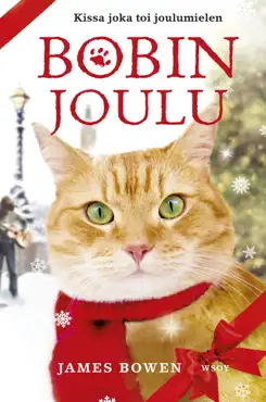 bobin joulu book cover image