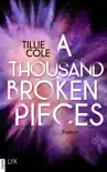 A Thousand Broken Pieces synopsis, comments