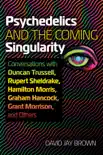 Psychedelics and the Coming Singularity synopsis, comments