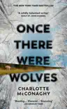 Once There Were Wolves sinopsis y comentarios