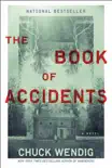 The Book of Accidents synopsis, comments