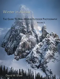 winter in alaska book cover image