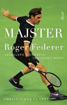 majster book cover image
