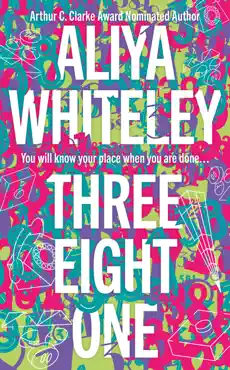 three eight one book cover image