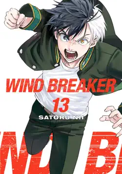 wind breaker volume 13 book cover image