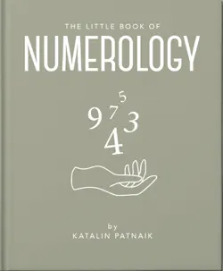 the little book of numerology book cover image