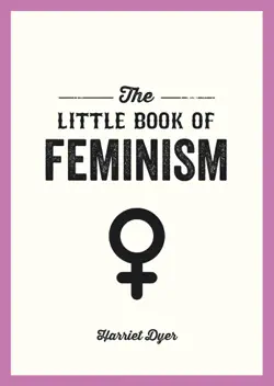 the little book of feminism book cover image