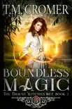 Boundless Magic synopsis, comments