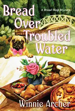 bread over troubled water book cover image