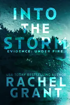 into the storm book cover image