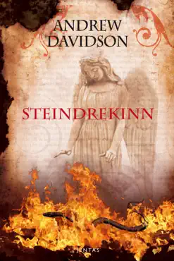 steindrekinn book cover image